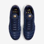 Nike Air Max Plus FFF