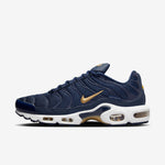 Nike Air Max Plus FFF