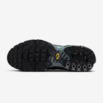 Nike Air Max Plus Paris Saint-Germain
