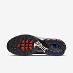 Air Max Plus France