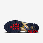 Nike Air Max Plus FFF